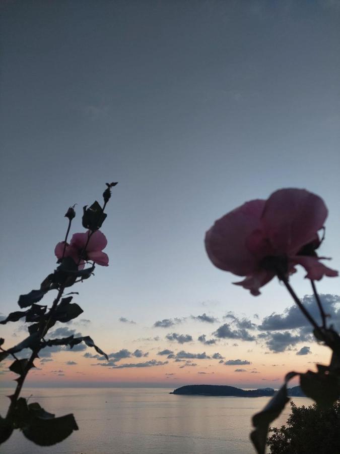 Nika Apartment Dubrovnik