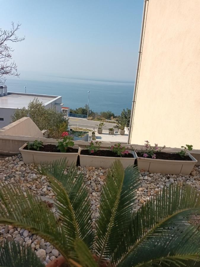 Apartment Nika *